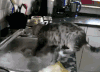 Y37Gjwo.gif