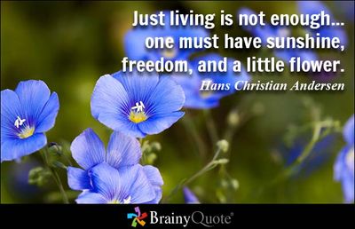 http://www.brainyquote.com/photos/h/hanschristianandersen103515.jpg