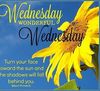 follow the day and reach for the sun